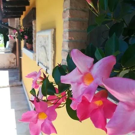 La Brigata Yellow House Cavallino-Treporti